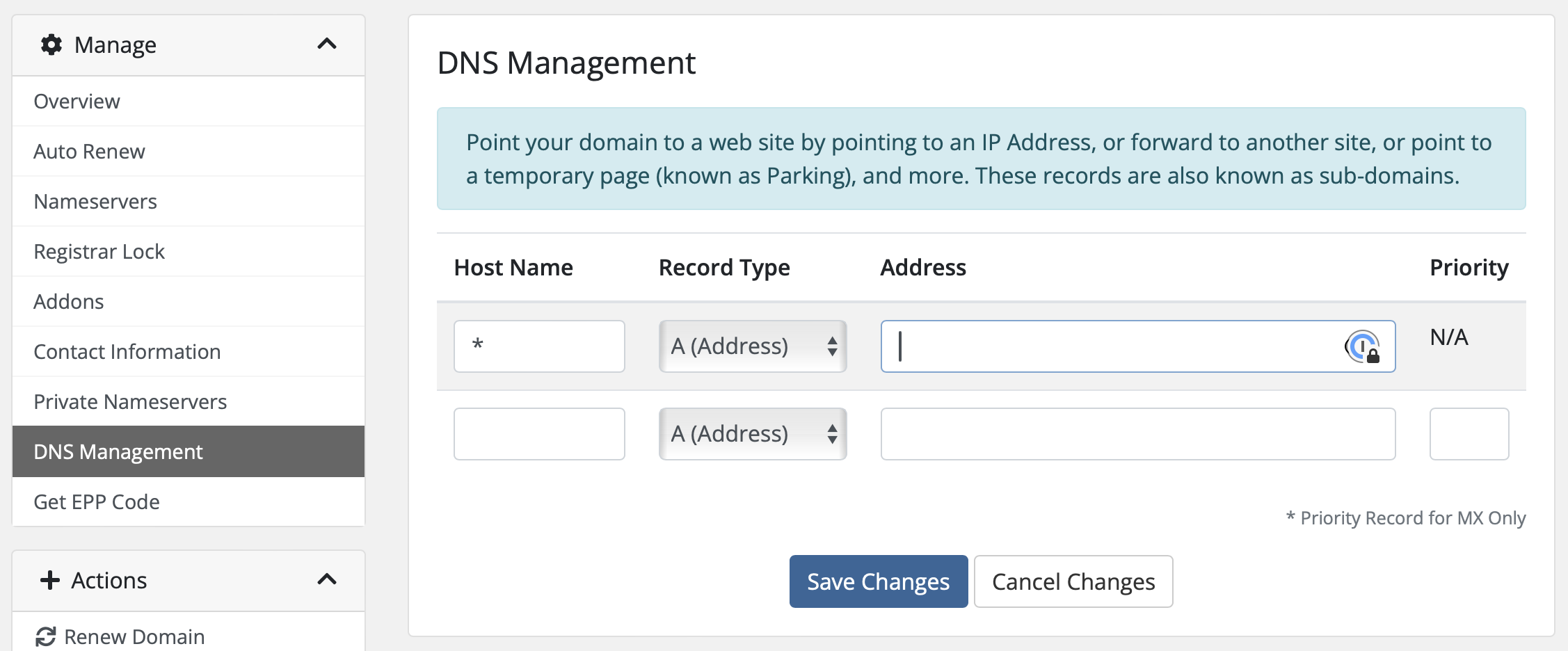 Client Area showing the DNS management screen Client Area showing the DNS management screen